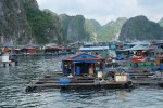 Floating houses in der Ha Long Bay